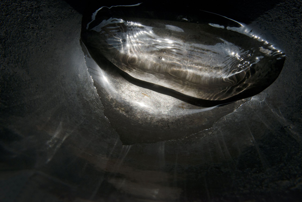 Misogi  2018-2019　Untitled